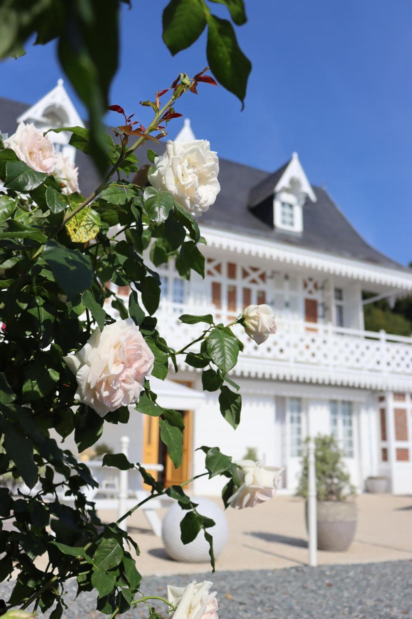 Hotel White House, Maison D'Hotes Villequier Exterior foto